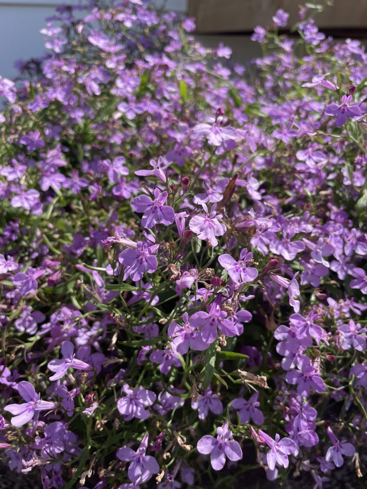 6 Things You Can Declutter Right Now: Summer&nbsp;Edition