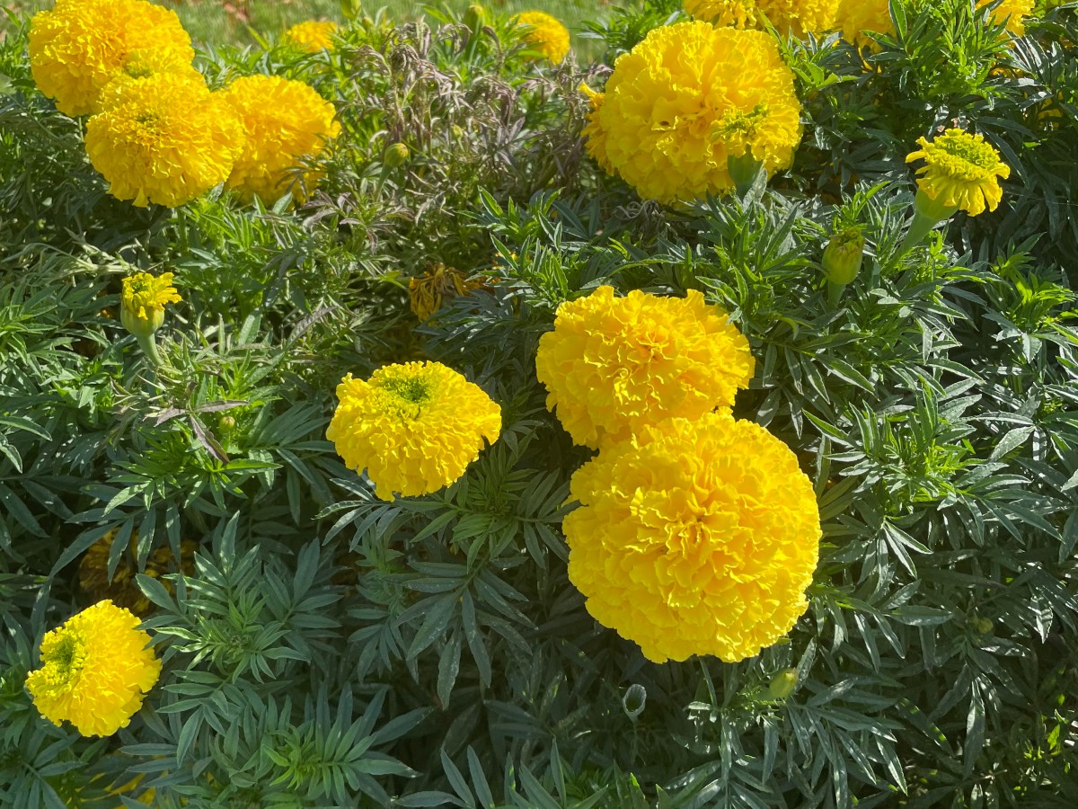 This Question Will Change Your Decluttering&nbsp;Game