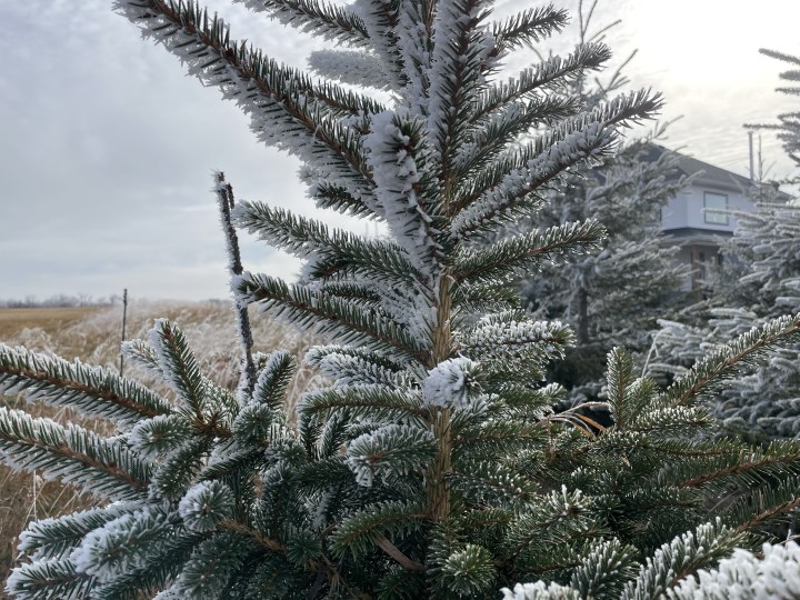 Everything I Decluttered In October&nbsp;2024