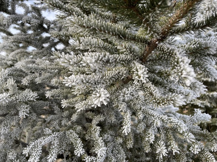 Everything I Decluttered in November&nbsp;2024